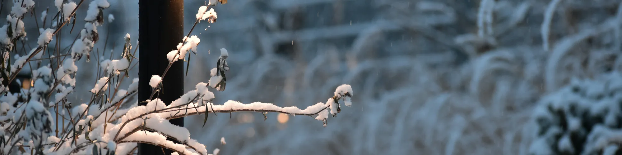 Barite DL 139P Sneeuw