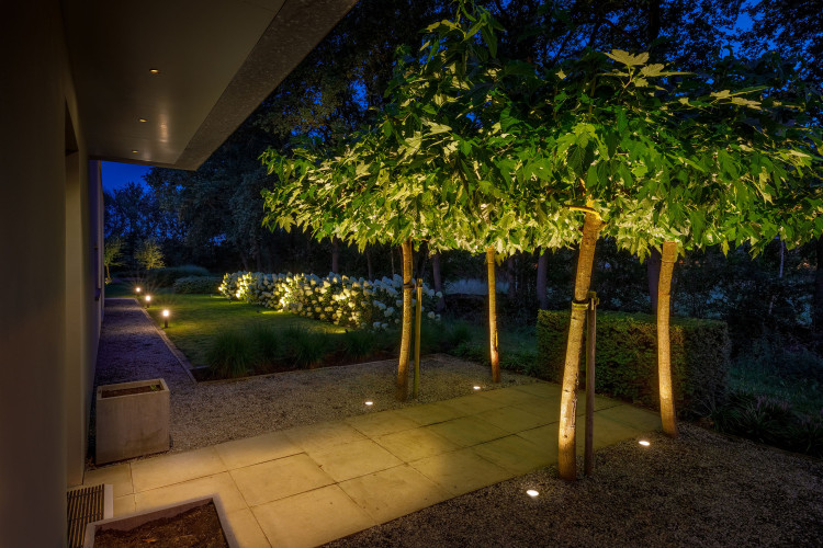 Lightpro 2019 8