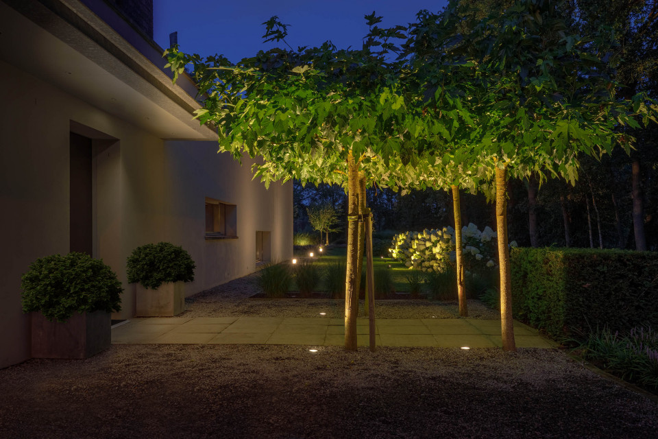 Lightpro 2019 9