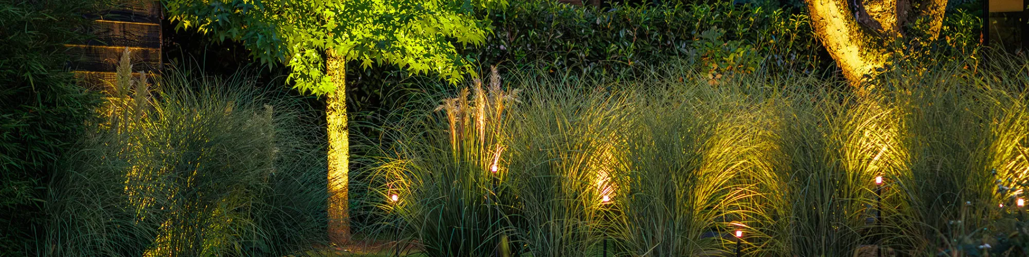 Lightpro 2025 27