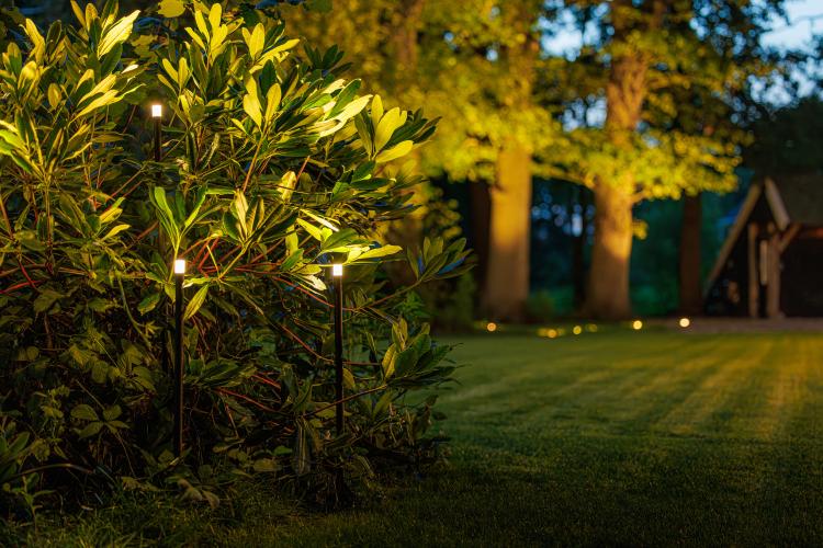 Lightpro 2025 36
