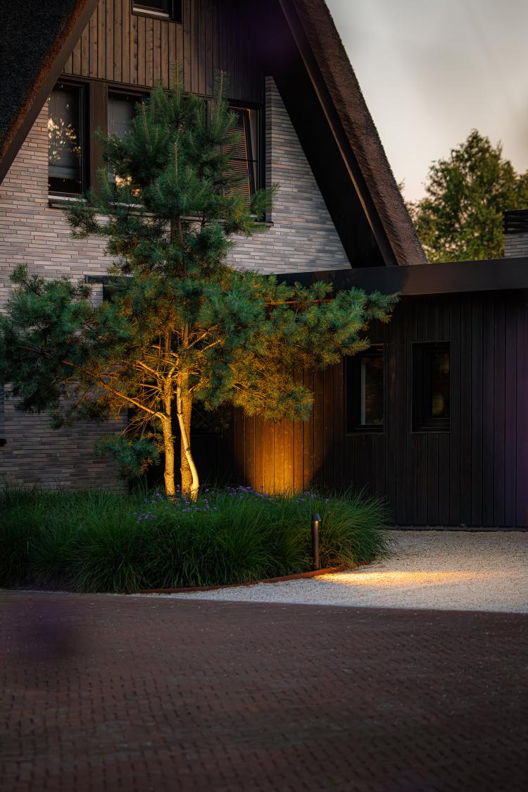 Lightpro 2025 8